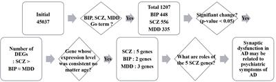 Big Data Analysis of Genes Associated With Neuropsychiatric Disorders in an Alzheimer’s Disease Animal Model